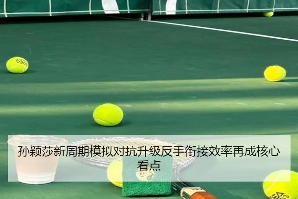 孙颖莎新周期模拟对抗升级反手衔接效率再成核心看点