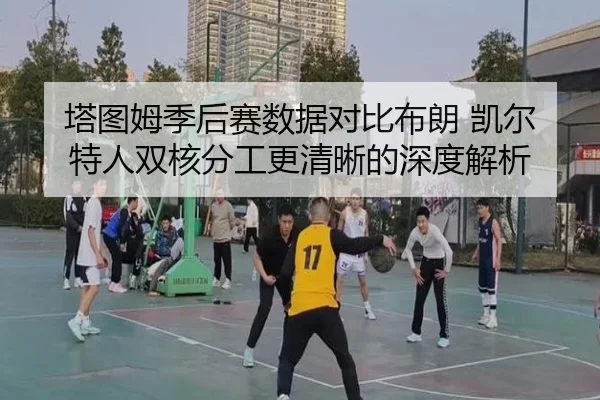 塔图姆季后赛数据对比布朗 凯尔特人双核分工更清晰的深度解析